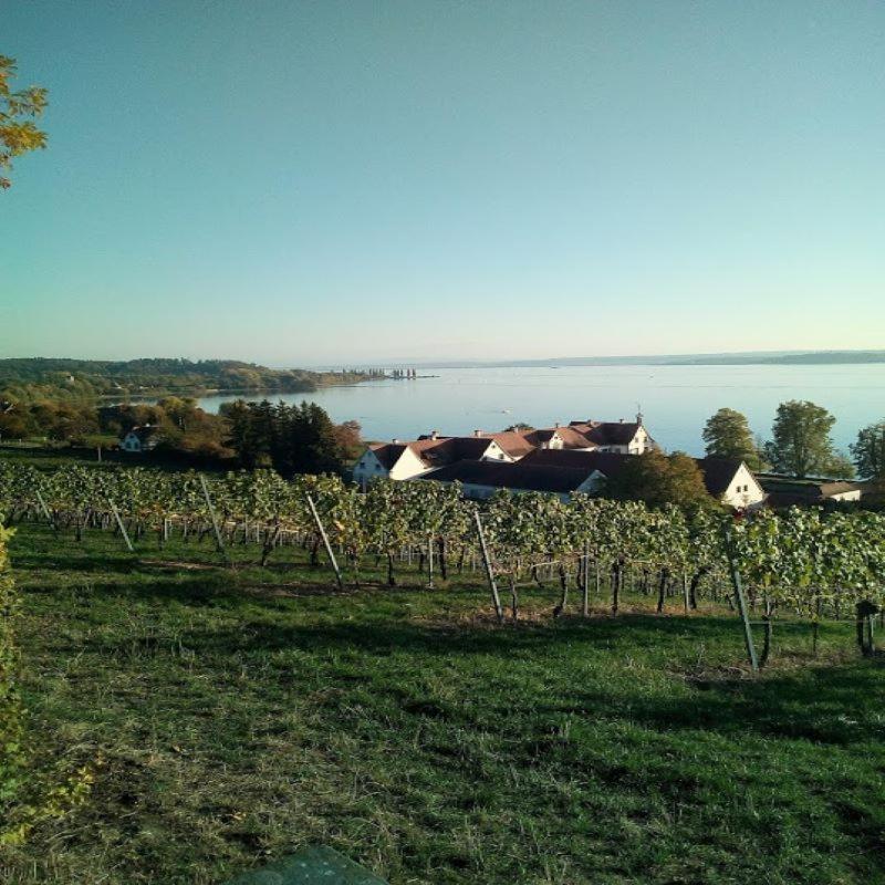 Ferienwohnung Am Bodensee الدنغن مولهوفن المظهر الخارجي الصورة